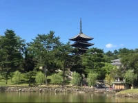 Guest House Route 53