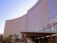 Marroad International Hotel Narita 4*