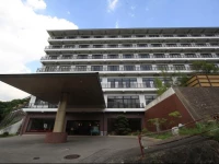 Shiobara Onsen Hotel 3*