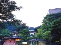 Kinugawa Park Hotels 3*