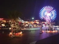 Koza Share House (Women Only)