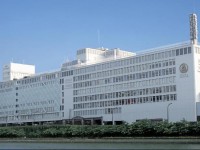 Hotel Osaka Castle 3*