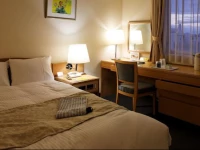 Shin Osaka Hotel 2-11-21 3*