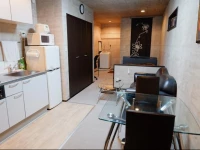 Apollo Couples Apartment at Namba 1*