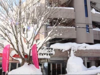 Tsugaike Hill Top Hotel Terrace Miyagawa 2*