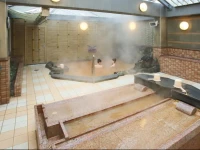 Natural Hot Spring Premier Hotel CABIN Sapporo