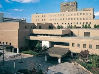 Hotel Sapporo Sun Plaza 3*