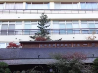 Ichifuji Hotel 3*