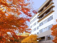 Ichikawa Bekkan Seikanso 3*