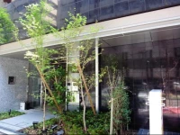 Concieria Toranomon Tokyo Premium