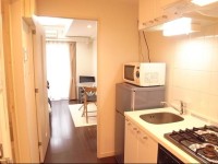 Palace Studio Akasaka Nibankan 3*