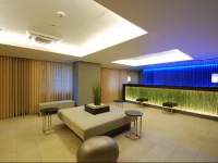 Sotetsu Fresa Inn Tokyo-Kyobashi