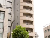 Hotel Asakusa & Capsule 2*