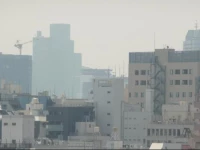 Hotel Bougainvillea Akebonobashi 3*