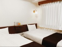 Hotel Check In Shimbashi 2*