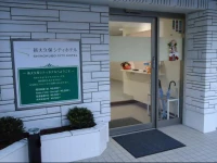 Shin-Okubo City Hotel 2*