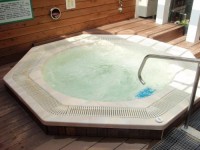 Capsule and Sauna Rosco