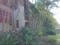 Asanti Agnes Water Surfing Beach