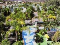 Desert Palms Alice Springs