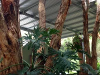 The Oasis at One Mile Beach