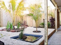 The Palms - Gordan Street