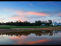 Balgownie Estate Winery - Bendigo House