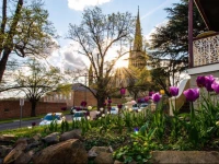 Cobb & Co House [Bha]