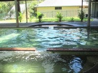 Blackbutt Family Loft Townhouse