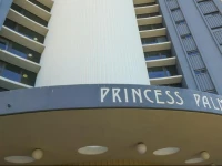 Princess Palm on the Beach