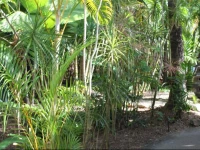 Bohemia Resort Cairns