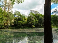 Wildlife Holiday House