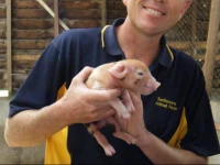 Sunflowers Animal Farm & Farmstay