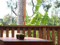 Heart of the Sunshine Coast