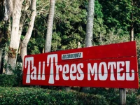 Tall Trees Motel