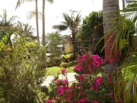 Colonial Palms Motel and Cabins