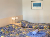 Dolphins of Mollymook Motel