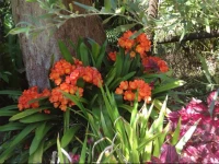 The Avenue at Montville Hinterland