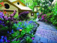 Linden Gardens Rainforest Retreat