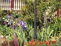 Bendalls Bed and Breakfast