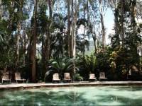 The Reef Retreat Palm Cove