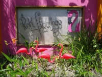 Pink Flamingo Resort