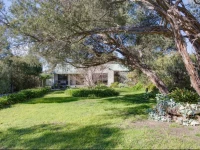 Hidden Gem in the Heart of Town