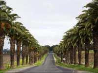 Seppelts View Cabins 4*