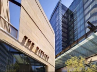 The Darling at The Star