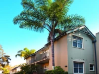 Medina Serviced Apartments Double Bay