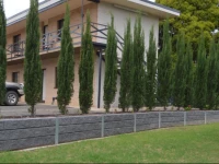 Centralpoint Motel 3*