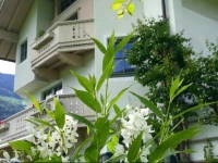 Appartements St. Leonhard