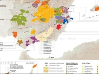 Apartamentos Ricardo