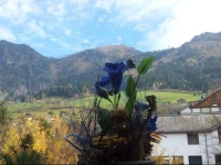 Sun Valley Apartment