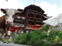 Hotel Gasthof Hinteregger